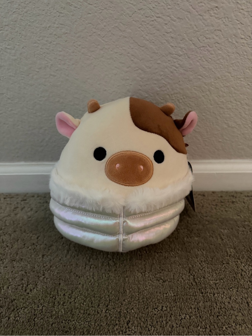 Ronnie Squishmallow